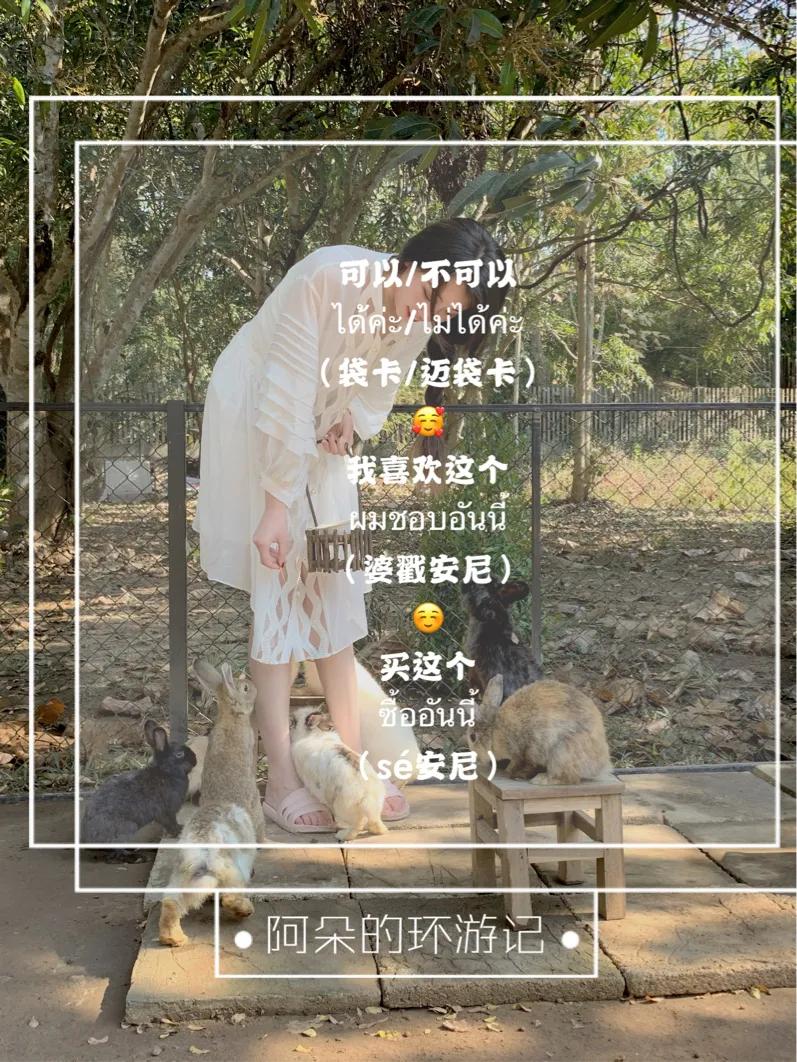 教你一句泰语视频,学几句简单的泰语