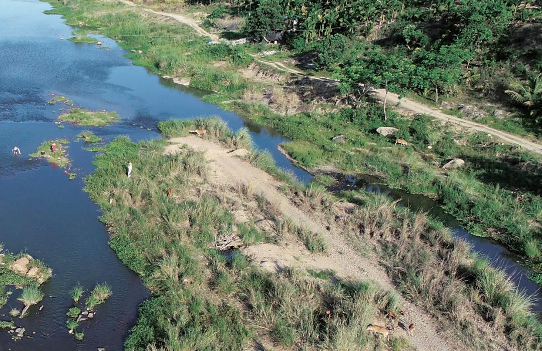盘点那些大到离谱的淡水鱼,各种淡水鱼你认识吗