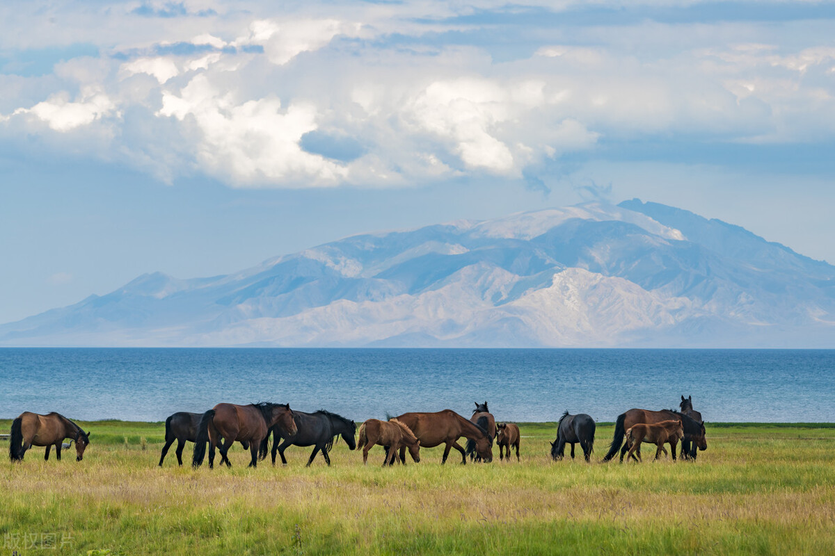 蜜月旅行推荐国内好玩的,蜜月旅行适合去的地方