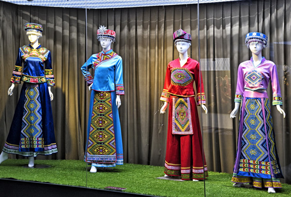 中国56个民族知识大全书籍,关于中国56个民族的知识