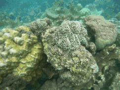 马来西亚适合游玩的岛,马来西亚阳光大海