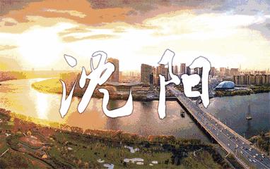 沈阳回民街十大小吃,沈阳十大小吃评选