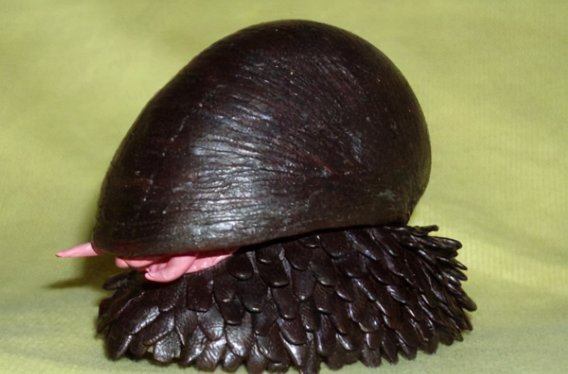 蜗牛将钢铁融入身体后，化身“装甲战士”，*弹子**也打不穿它的壳