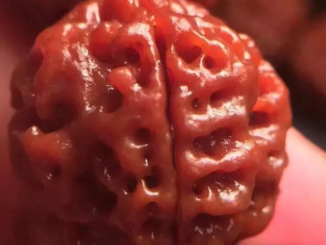 什么是金刚菩提鹰爪纹路,金刚菩提表面纹路磨损