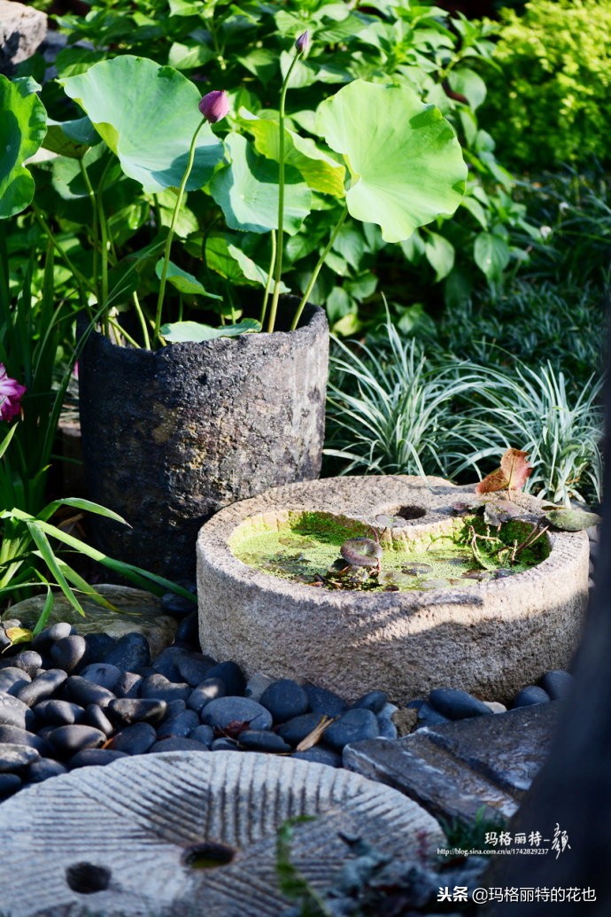 这座半山半水的土豪庭院，成了大多数男人的梦想｜花园拜访