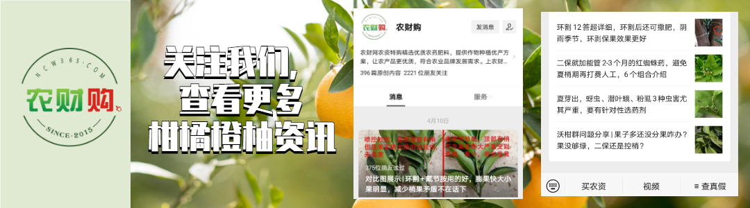 治蚧壳虫的土方法,用药指南蚧壳虫