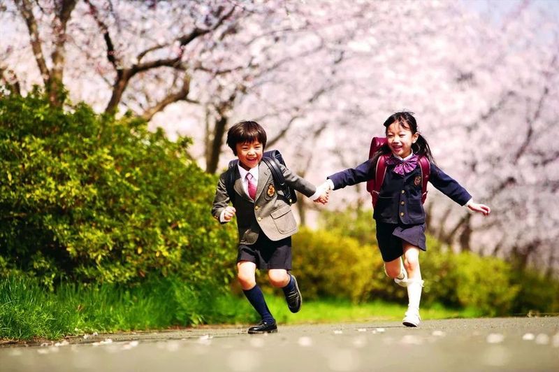 公立私立幼儿园升小学有什么区别,公办幼儿园和民办园的学费区别