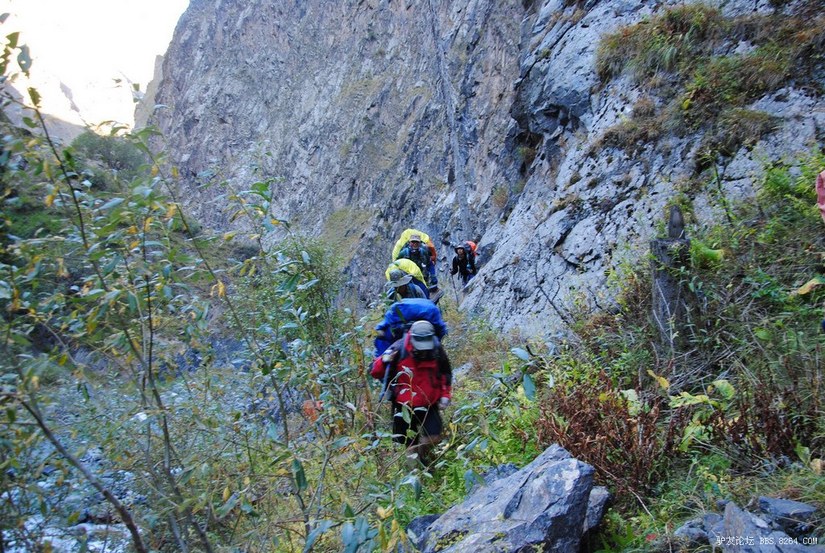 狼c调简谱教唱,狼c
