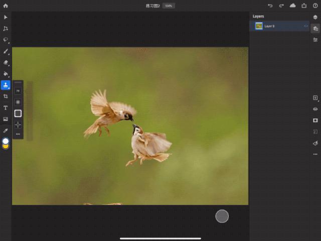 ipad版ps有哪些功能,ipad版ps界面不一样