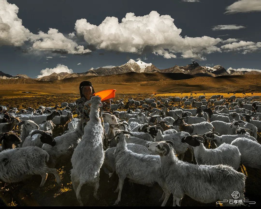 李鸿飞摄影作品初春,李鸿飞画家