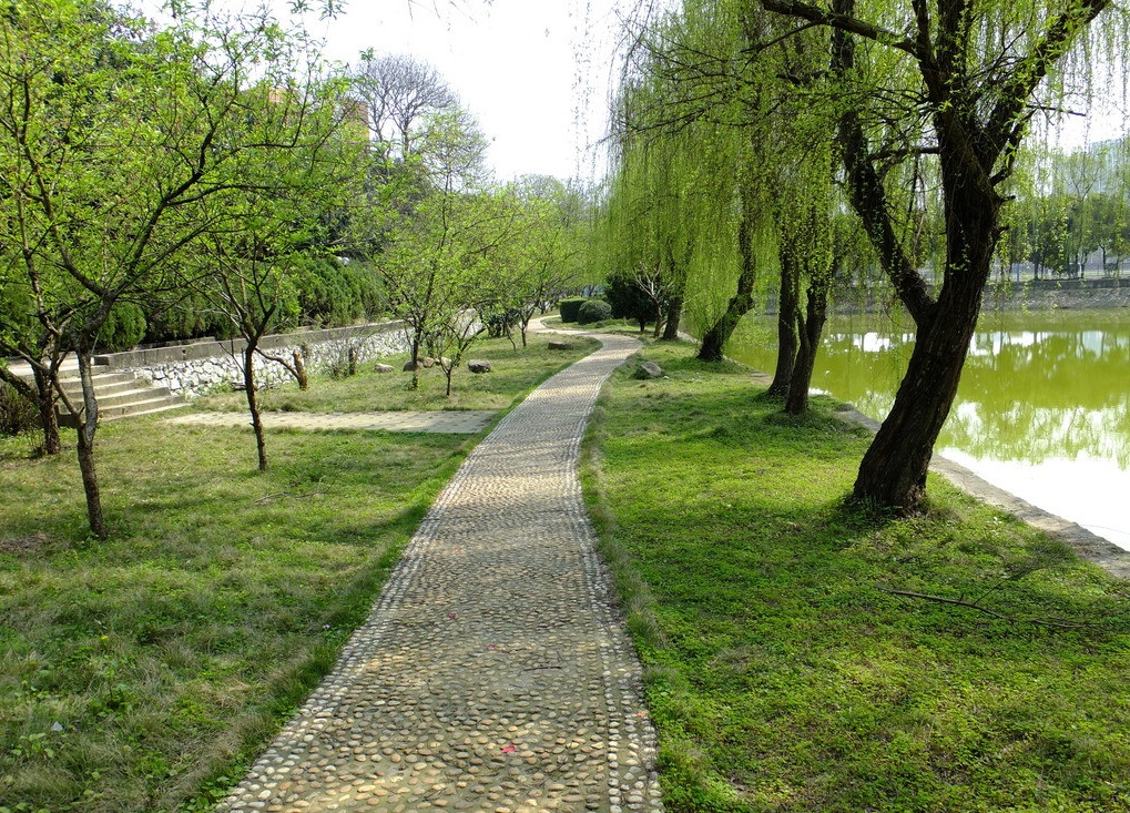 送她红围脖的男孩子，是个贼