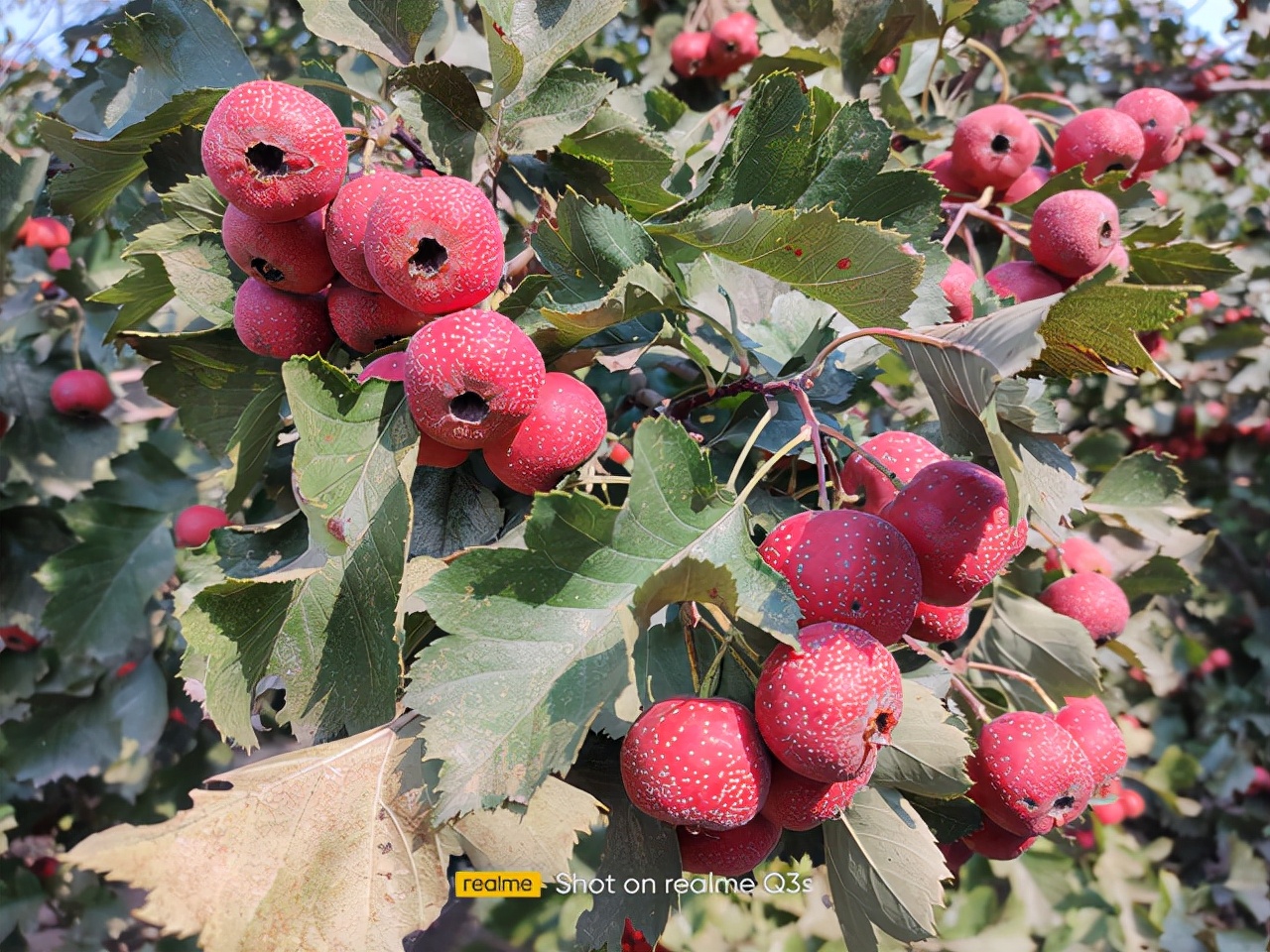 realmeq3s骁龙778,骁龙778g配6000毫安电池的手机