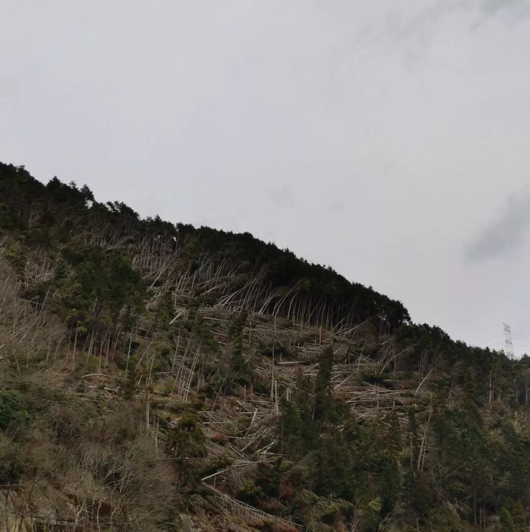 一月份游岚山,岚山哪个地方好玩一日游