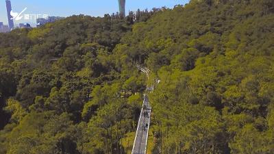 2023年厦门自由行热门攻略,厦门春节旅游攻略自由行最佳路线