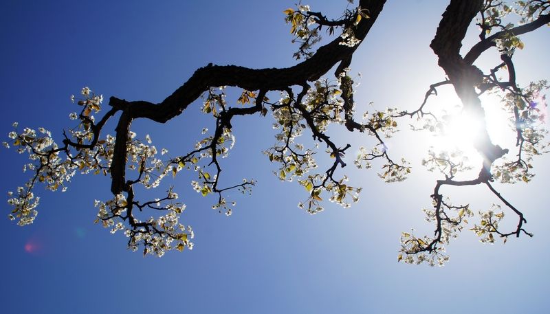 出国旅游担心语言问题,出国旅游预订机票口语