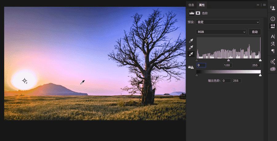 ps可选颜色与色阶调色的区别,ps怎么调色照片背景颜色