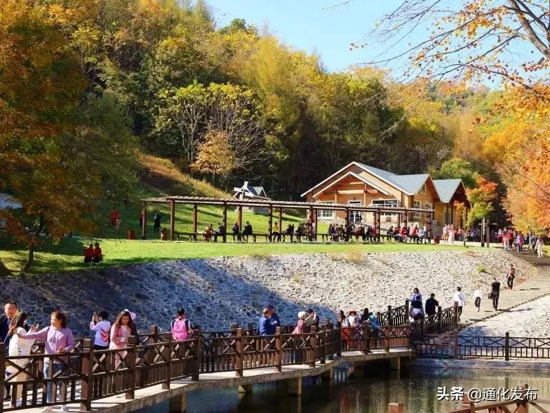 枫姿正好共赴一场云岭之约