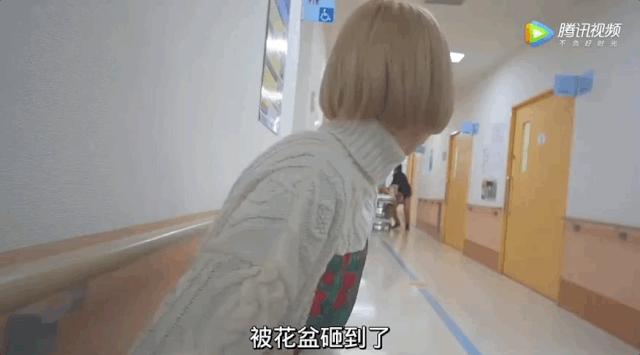 日本网红女孩事件,日本女网红事件