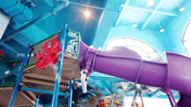 一天珠海长隆最全游玩攻略,最新的珠海长隆游玩攻略