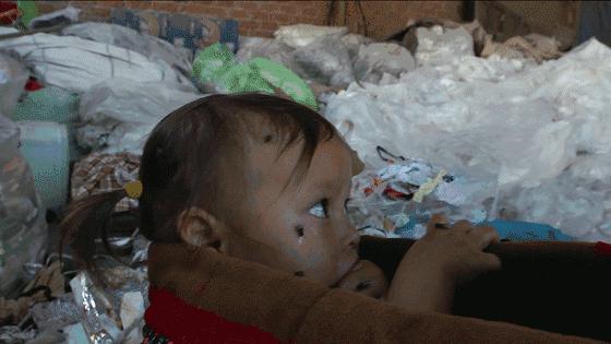 全国人民看江浙沪,上海垃圾分类现在怎样了