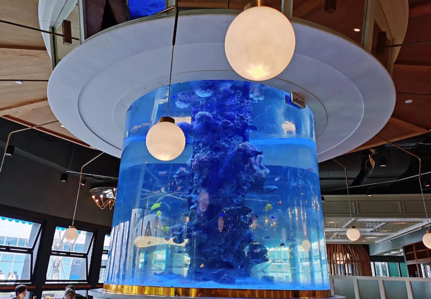 小羊探店|没食欲的炎炎夏日,泰国料理就是最佳选择