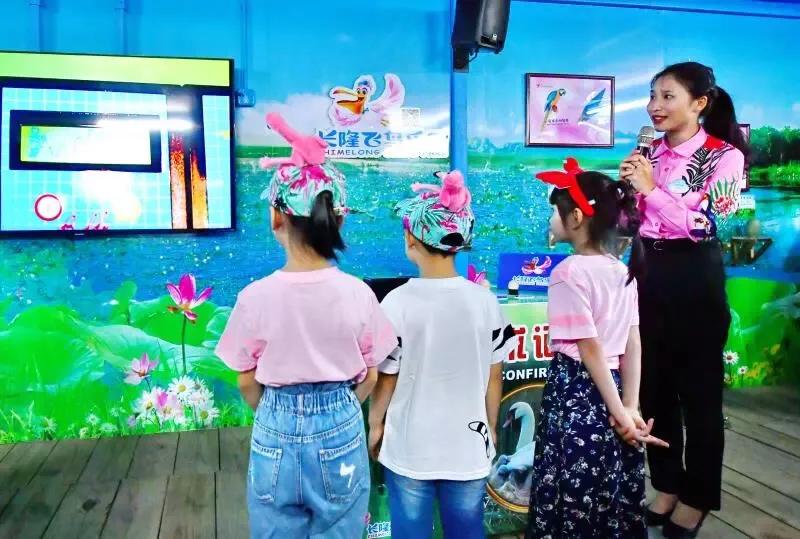 长隆飞鸟乐园拍鸟攻略,广州长隆飞鸟乐园可以摸哪些鸟