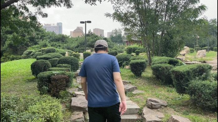 自动开合，三轴一体便携无压力-SNOPPA随拍ATOM2自动折叠手机云台