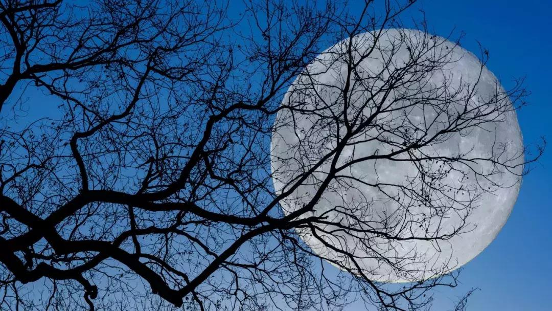 请问你对七情六欲怎么理解的,给我解释一下什么叫七情六欲