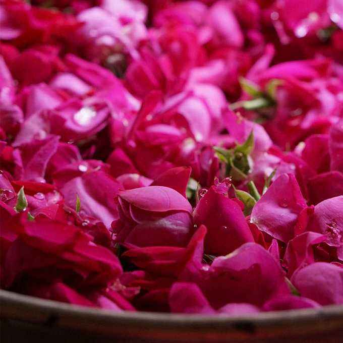 不用去云南也能吃到正宗鲜花饼了,没去过大理却吃到了大理鲜花饼