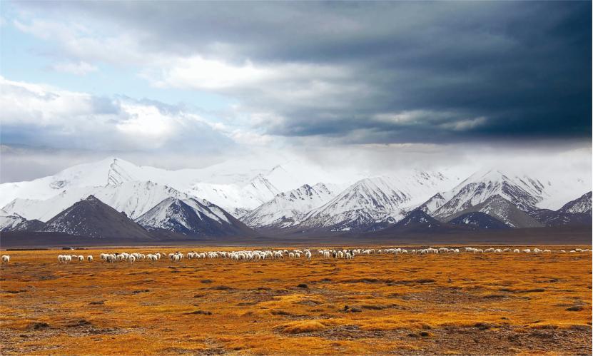 天峻风景美图集,天峻旅游排行