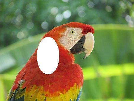 常见的图像处理方法有几种,简单的图像处理知识