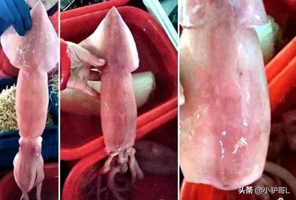 海鲜干货推荐烟台店有哪些,烟台海鲜干货怎么挑