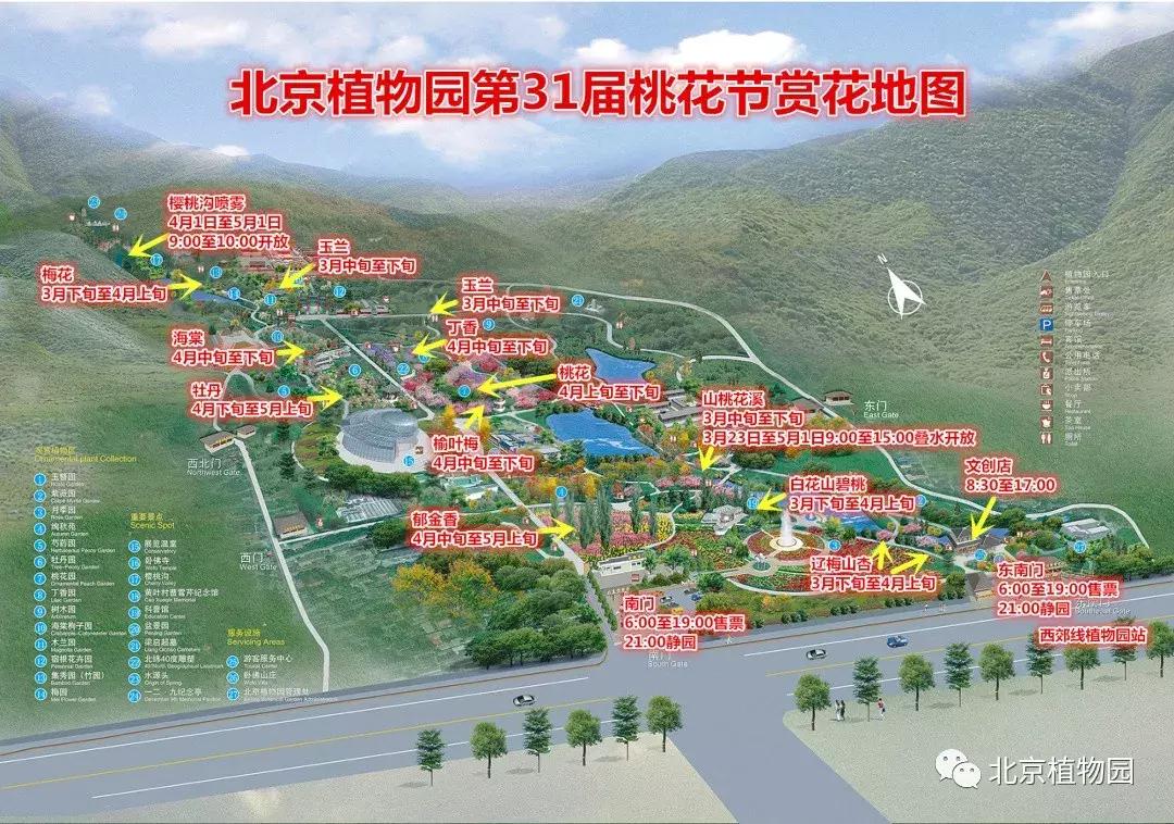 中国科学院植物研究所北京植物园,北京植物园有牡丹花还有什么花