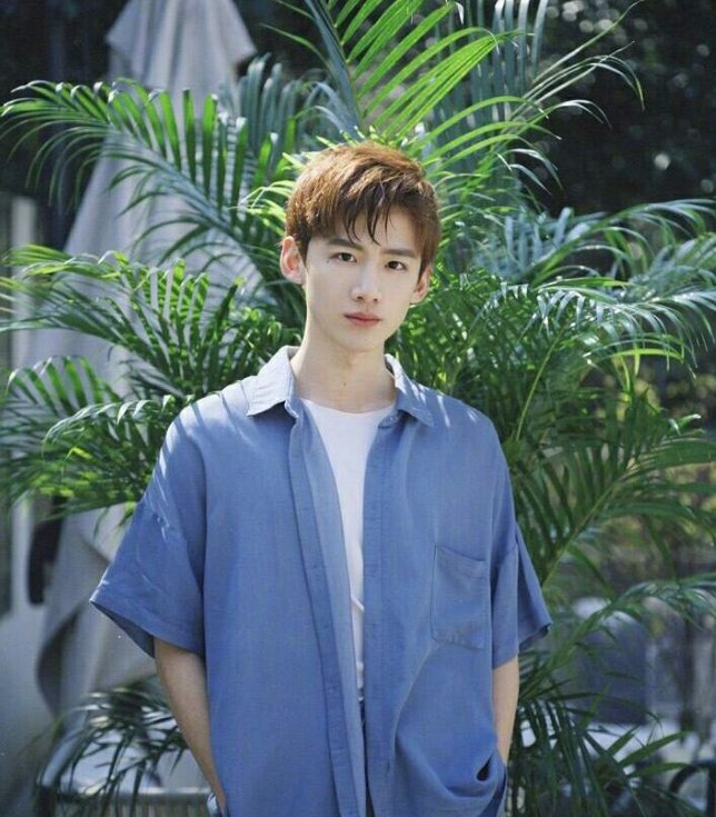 濯清涟而不妖出自哪里,濯清涟而不妖的例子