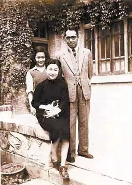 钱钟书和林徽因的护猫之战 (钱钟书的猫跟谁的猫打过架)