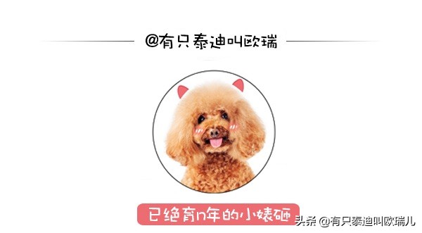 外面传来咚咚声把他吵醒，起床查看：家门口被它们占领了！