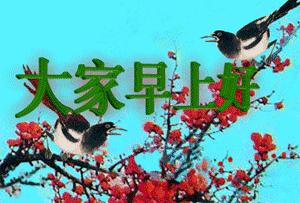 每天清晨对着镜子看自己的笑容,每天清晨对镜子看自己的笑容