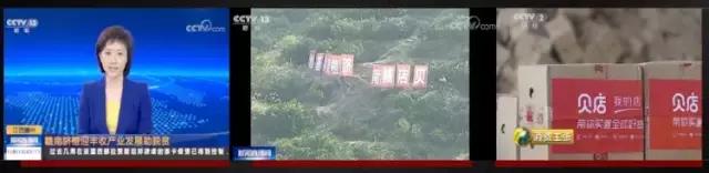 贝店我的店有哪些产品,消费商平台是做什么的