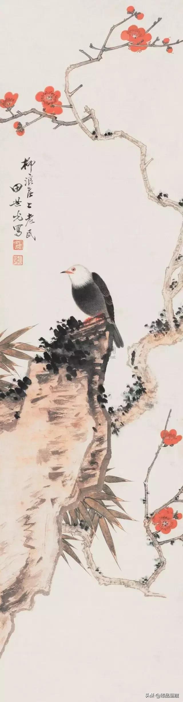 工笔大师田世光,工笔画大师田世光画孔雀好美