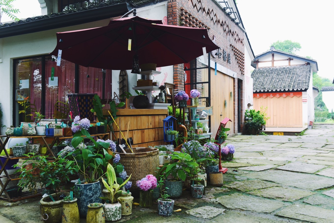 绿色世界花的海洋，在十里芳菲宠爱自己的24小时