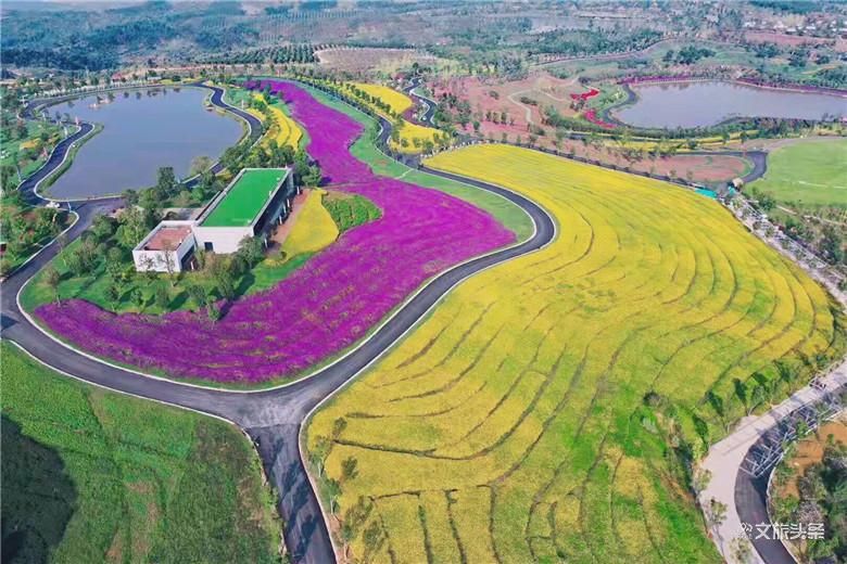 来到这个花田胜景小镇，拥抱“南国御养”健康生活目的地