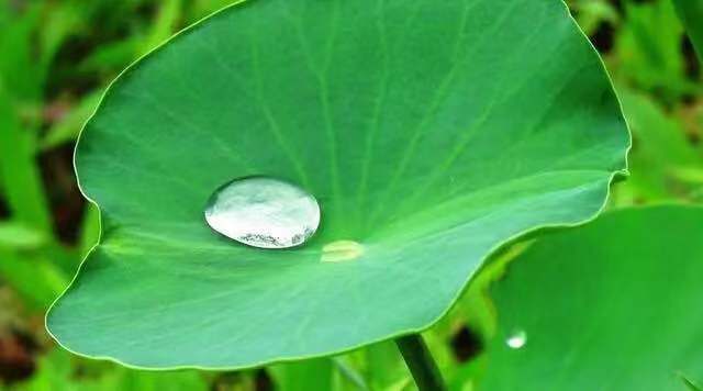 期货交易等待期干什么,期货交易中寻找确定性