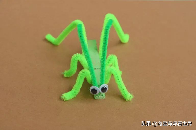 昆虫diy益智拼图,diy昆虫旅馆怎么做