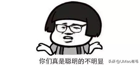 猫咪猜杯子游戏第三关,猫猜杯子游戏