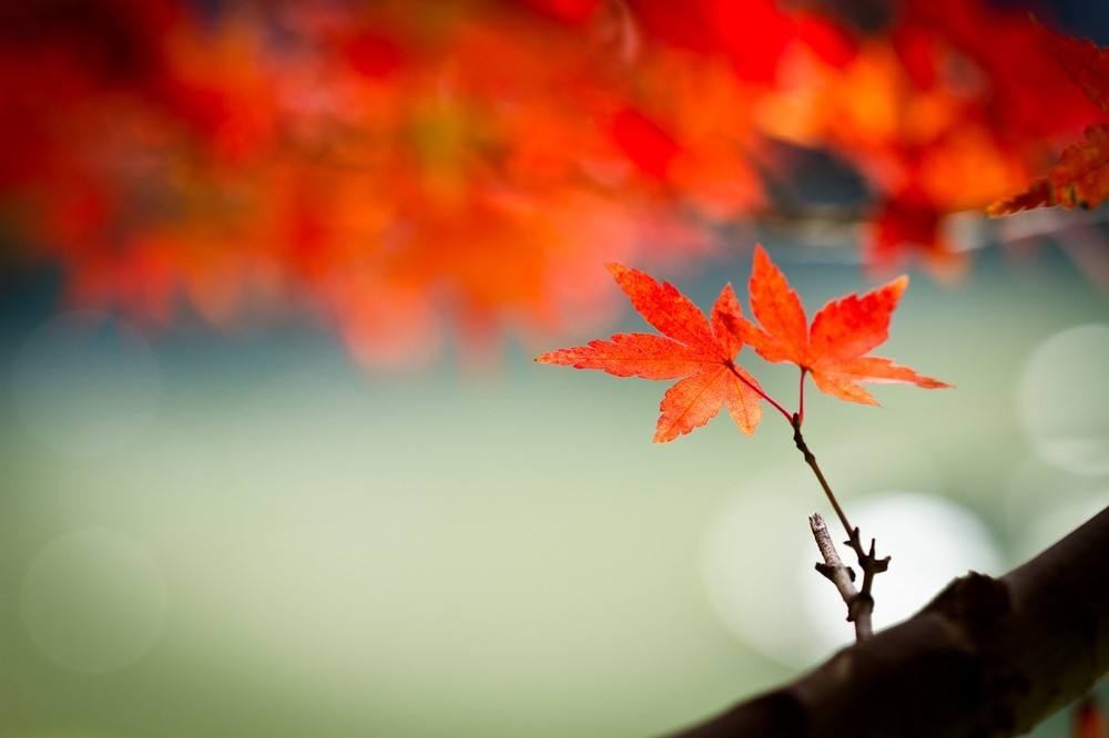 原创诗词临江仙咏繁荣的珠三角,原创诗词临江仙咏六一儿童节