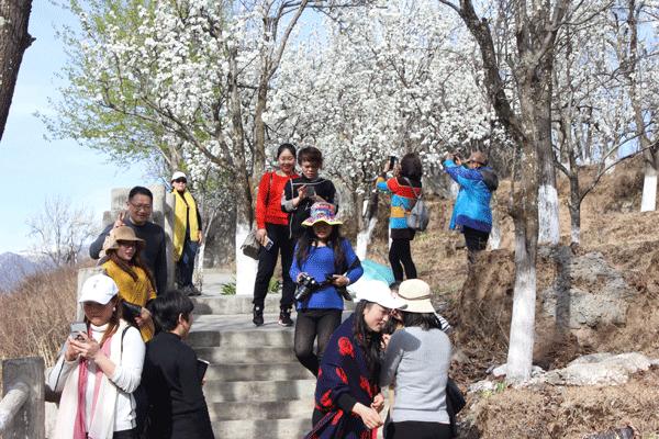 阿坝州金川县发展,阿坝州乡村振兴产业发展规划