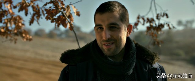 野梨树的特点,野梨树价值