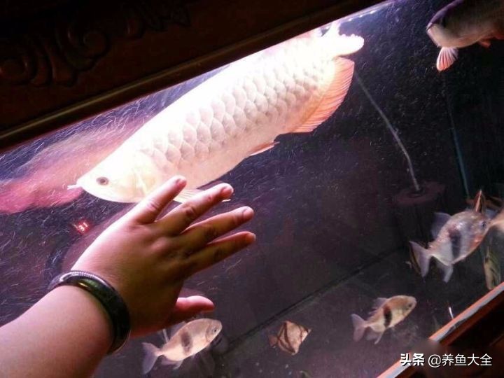 涓轰簡鍏婚奔鎶婂娣逛簡,涓轰簡鍏婚奔绂诲