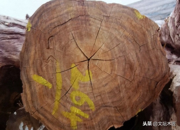 小叶紫檀降香黄檀知识讲解,小叶紫檀红酸枝木家具知识讲解