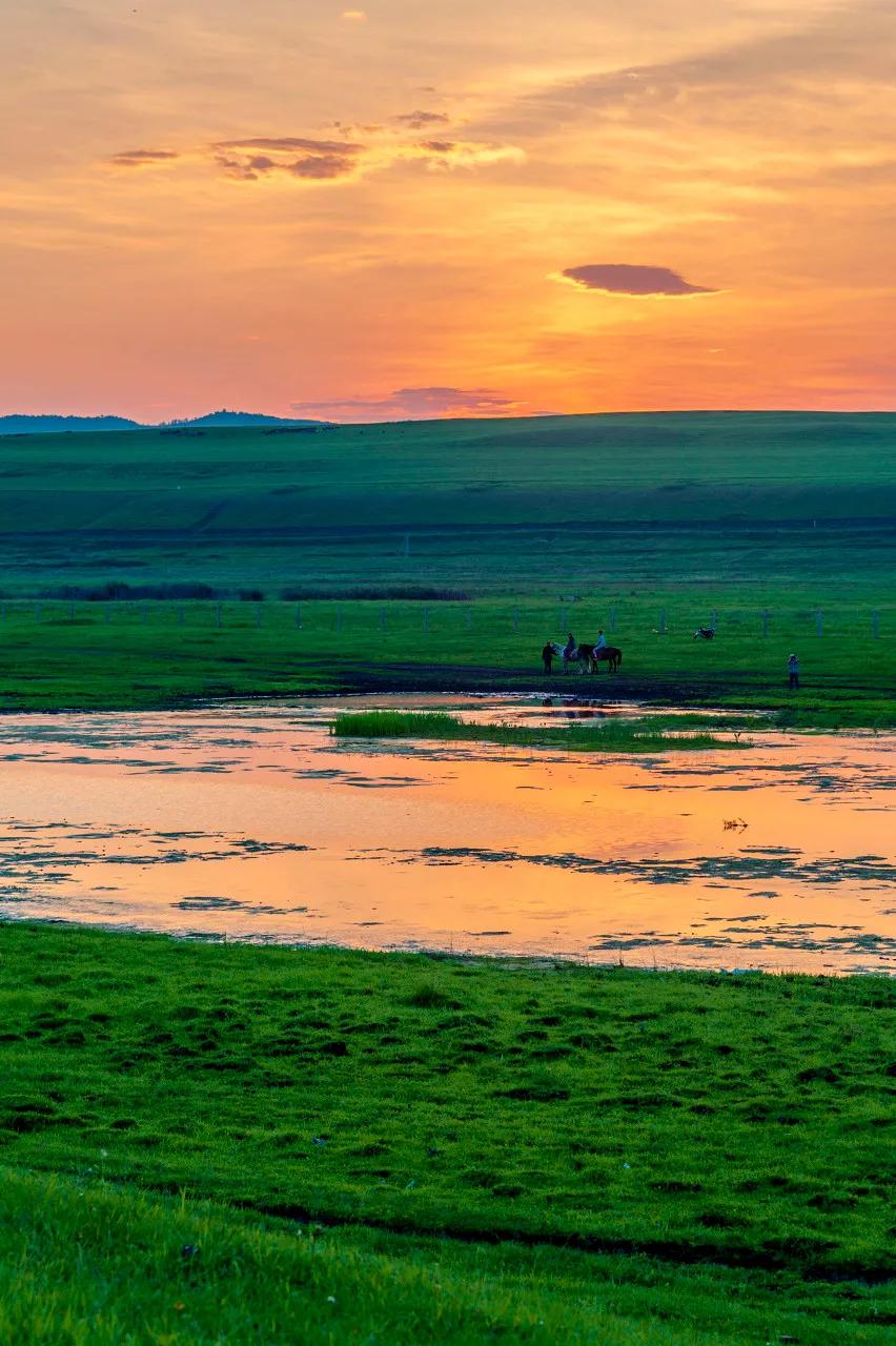 八月的呼伦贝尔大草原,辽阔的呼伦贝尔大草原风景